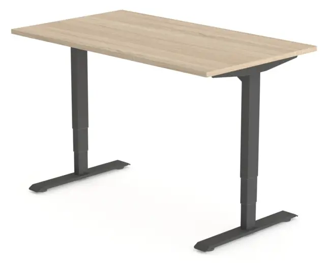 Elektrisch zit-sta frame (enkel)